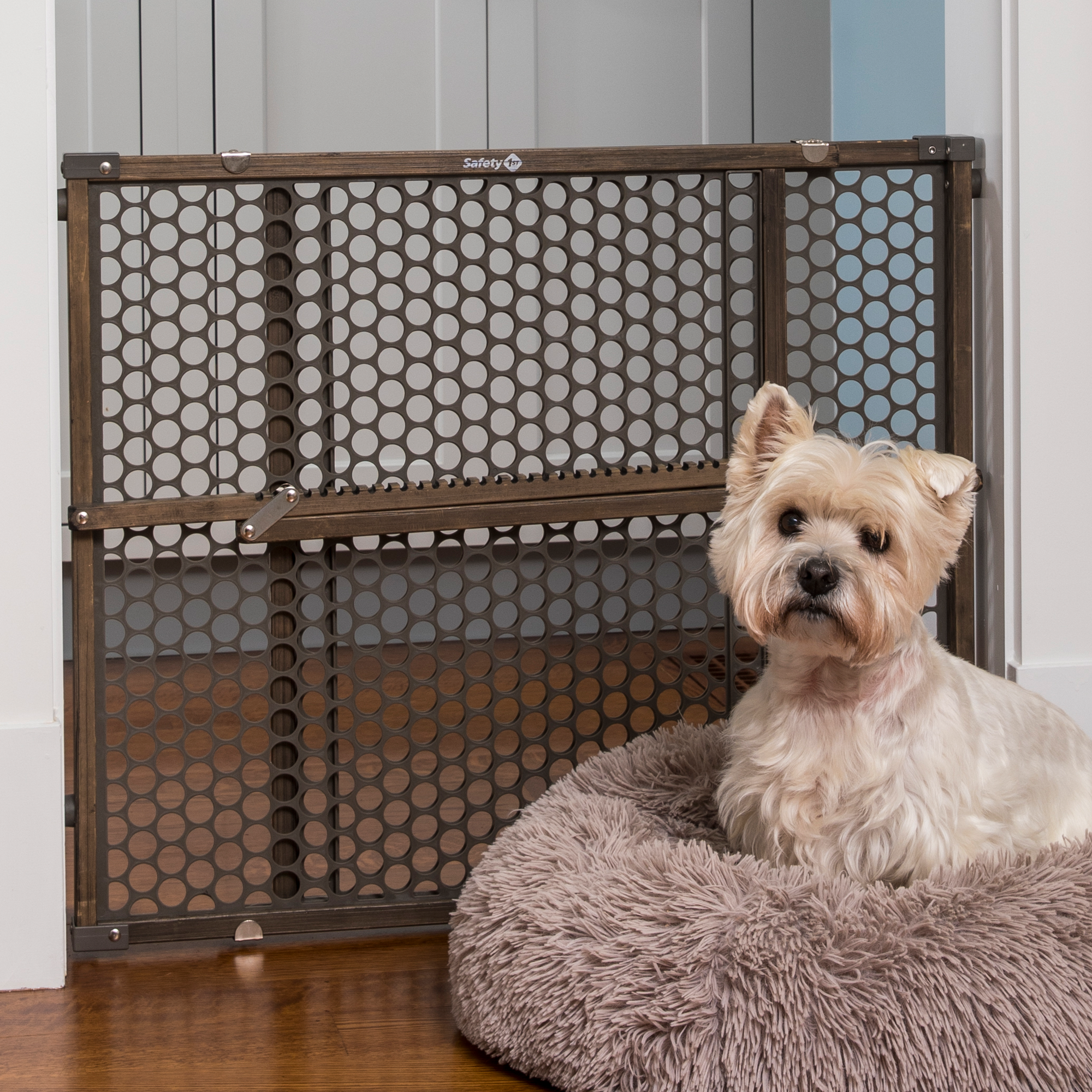 dog sitting in bed next to doorway gate