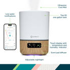 Smart Humidifier - ultrasonic cool mist, top-fill one gallon tank, low water notifications, touch display with temperature and humidity indicator, scent pad diffuser, adjustable nightlight