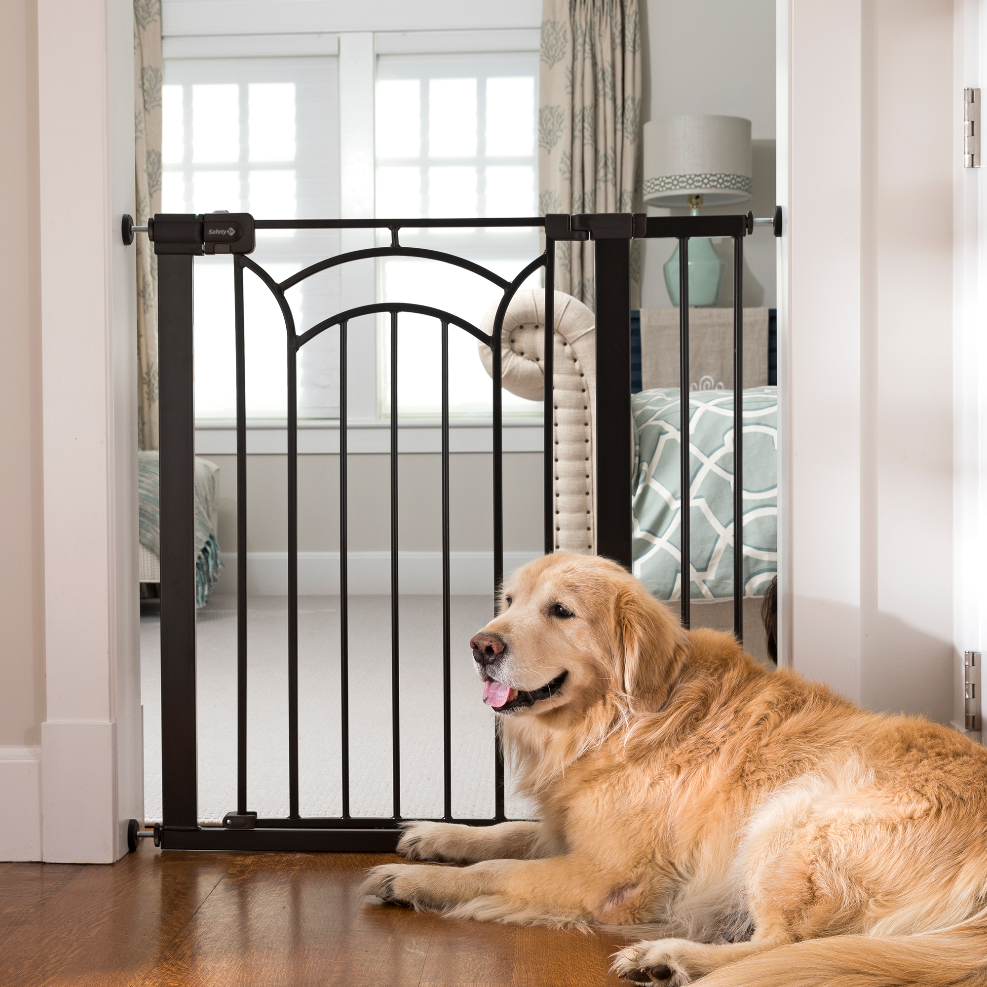 dog laying down by black gate