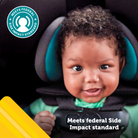 Grow and Go™ All-in-One Convertible Car Seat - meets federal side impact standard